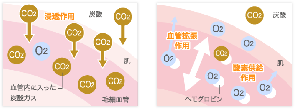 炭酸とは